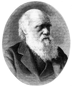 Charles Darwin, engelsk naturforsker fra 1800-tallet, 1900.
