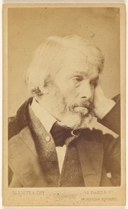 Thomas Carlyle (1795–1881) av Elliott and Fry