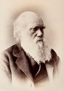 Charles Darwin: engelsk naturforsker