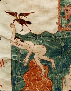 Ravn plukker på et lik av Emeterio the Monk