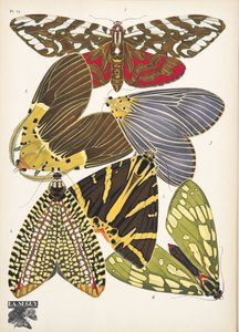 Tallerken 14, fra Butterflies, pub. 1925 (stensiltrykk) av Émile Allain Séguy