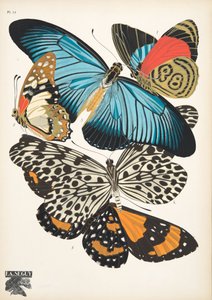 Tallerken 11, fra Butterflies, pub. 1925 (stensiltrykk)