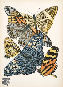 Tallerken 3, fra Butterflies, pub. 1925 (stensiltrykk) av Émile Allain Séguy