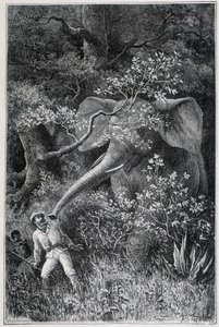 Livingstone overrasket av en elefant i "Le Tour du Monde" av Emile Antoine Bayard