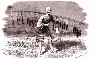 Rottemorder i Kina. 1874 (gravering) av Emile Antoine Bayard