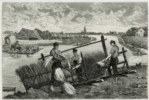 Rusten av lin (maserasjon for å lette separasjonen av barken fra stilken) i Lys (elven nord for Frankrike og Belgia). Gravering av Emile Claus, for å illustrere historien "" La Belgique"", av Camille Lemonnier (1844) -1913), forfatter og kunstkritiker. av Emile Claus