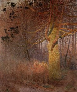  av Emile Claus