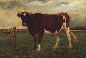 Studie av en ku, 1870?90