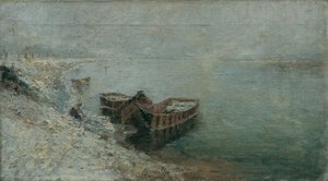 Fiskebåter på Donau-bredden