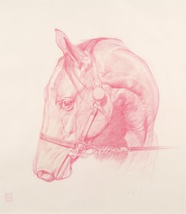 Portretthode, 2010 (rødt kritt på papir)