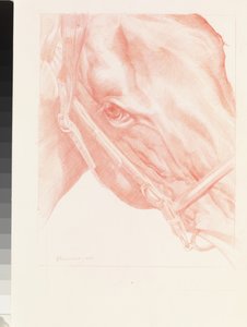 Portretthode, 2012 (rødt kritt på papir)