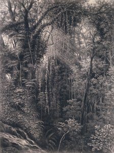 Utsikt over kløften over Apia, Upolu, Vest-Samoa, 1877 (kull på papir) av Emma Sandys