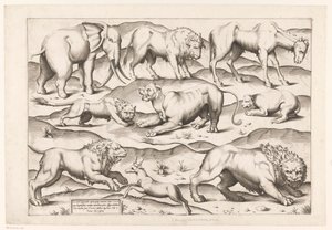 Ni ville dyr Dyr til antikke veggmalerier (serietittel) Speculum Romanae Magnificentiae (serietittel) av Enea Vico (attributed to)