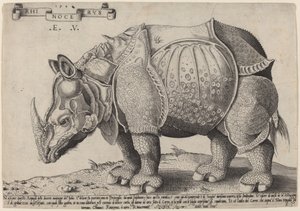 Neshorn av Enea Vico after Albrecht Dürer