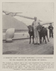 En koreansk gave til kong Edward, storfe presentert til Hans Majestet av kongen av Korea av English Photographer