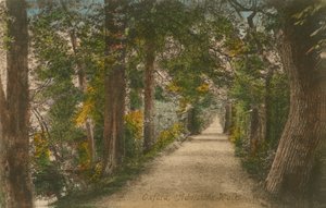Addisons Walk, Oxford. Postkort sendt i 1913. av English Photographer