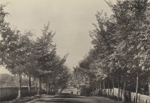 Aldeburgh, Westfields Avenue (s/hvitt bilde) av English Photographer