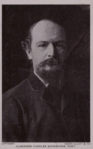 Algernon Charles Swinburne (1837–1909), engelsk poet og dramatiker av English Photographer