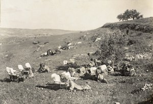 Ambulansekameler, ca. 1916-19 (s/hvitt-bilde) av English Photographer