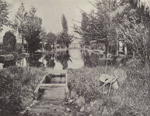Ved laksedammene, New Norfolk av English Photographer
