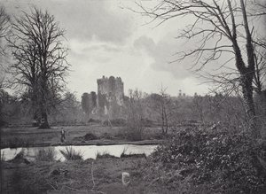 Blarney Castle av English Photographer