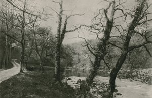 Bolton Woods av English Photographer
