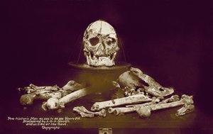 Bein fra en forhistorisk mann på 40 000 til 80 000 år oppdaget av AGH Gough (fargefoto) av English Photographer