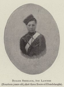 Bugler Sherlock, 5th Lancers av English Photographer