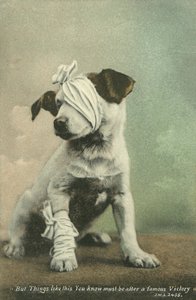  av English Photographer
