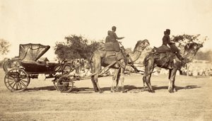 Kamelvogn, ca. 1860 (fotogravyr) av English Photographer