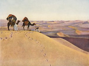Kameler i Sahara (fargebilde) av English Photographer