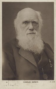 Charles Darwin (1809-1882), engelsk naturforsker av English Photographer