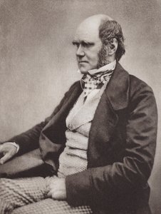  av English Photographer