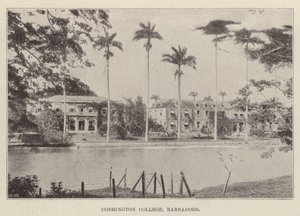 Codrington College, Barbados av English Photographer