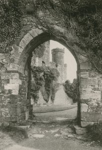 Conway Castle av English Photographer