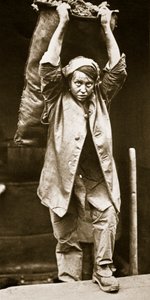 Leverer kull, trykk av Horace W. Nichols, ca. 1916 (fotogravyr) av English Photographer