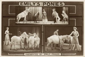 Emily Paulo og hennes utøvende trente ponnier (s/hv-bilde) av English Photographer