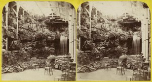 Fernery og foss ved Brighton Aquarium av English Photographer