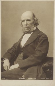 Herbert Spencer (1820-1903), engelsk filosof, politisk teoretiker, biolog og sosiolog av English Photographer