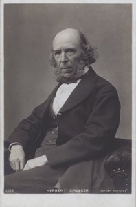  av English Photographer