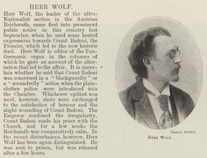 Mr Wolf av English Photographer