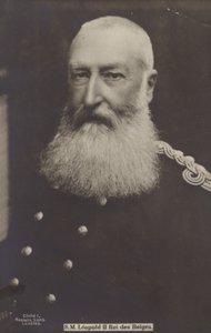 Kong Leopold II av English Photographer