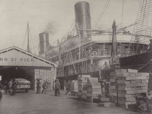 Laster epler for England av English Photographer
