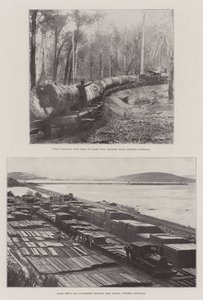 Logging i Australia av English Photographer