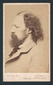 Lord Tennyson, visittkort av English Photographer