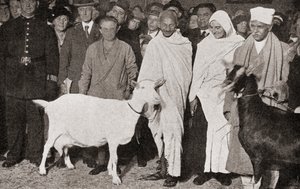Mahatma Gandhi ankommer London, England i 1931 med sin disippel, Madeleine Slade, og hans to geiter, fra The Story of Twenty Five Years, utgitt 1935 av English Photographer