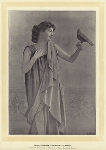 Miss Connie Collier: en studie