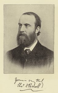 Mr Charles Stewart Parnell, MP av English Photographer