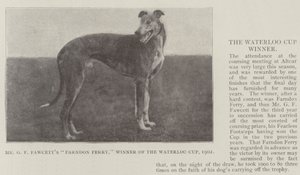 Mr GF Fawcetts Farndon Ferry, vinner av Waterloo Cup, 1902 av English Photographer