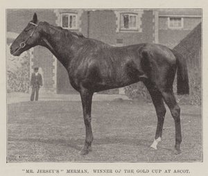 Mr Jerseys Merman, vinner av Gold Cup på Ascot av English Photographer